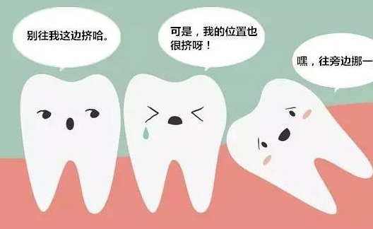 智齿